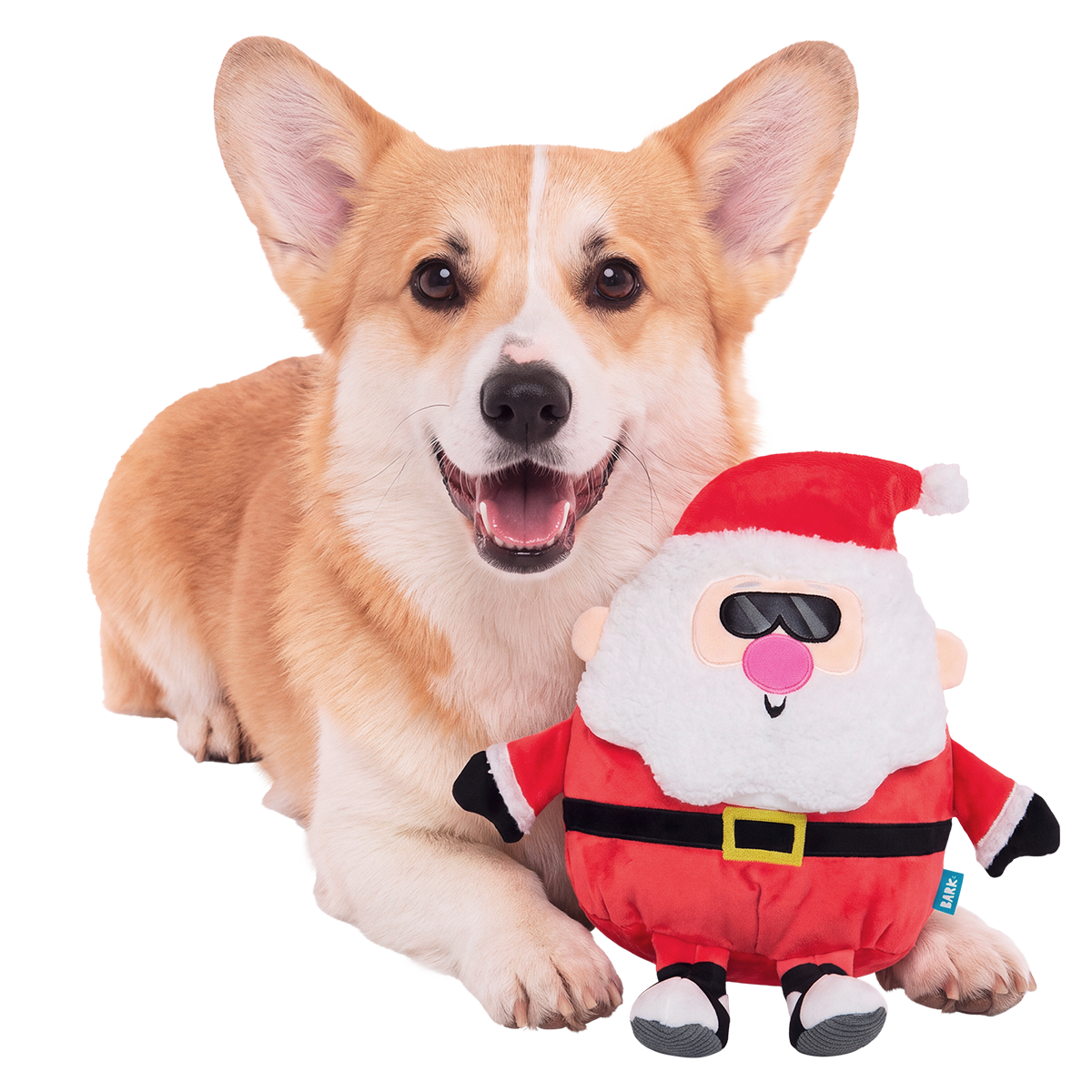 Jolly Old Saint Rizz Plush Extra-Large + Enrichment Dog Toy