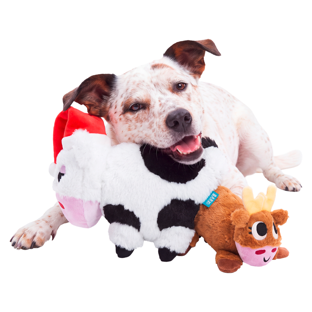 Bertha's Christmas Miracle Plush Extra-Large + Tug Dog Toy
