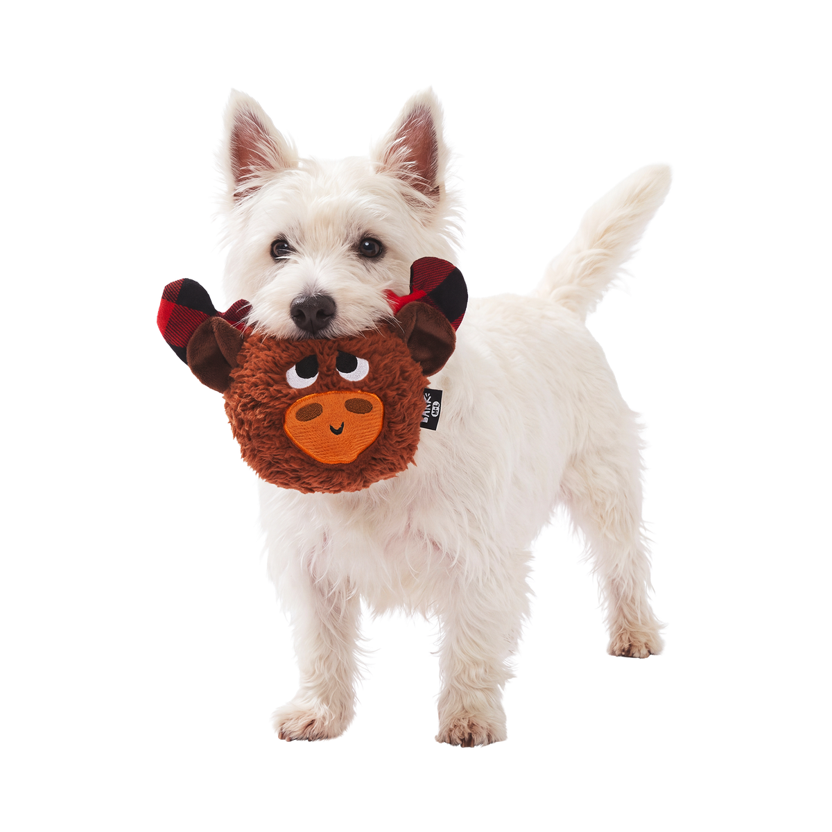 Plaidamoose Super Chewer Durable 2-in-1 + Fetch Dog Toy
