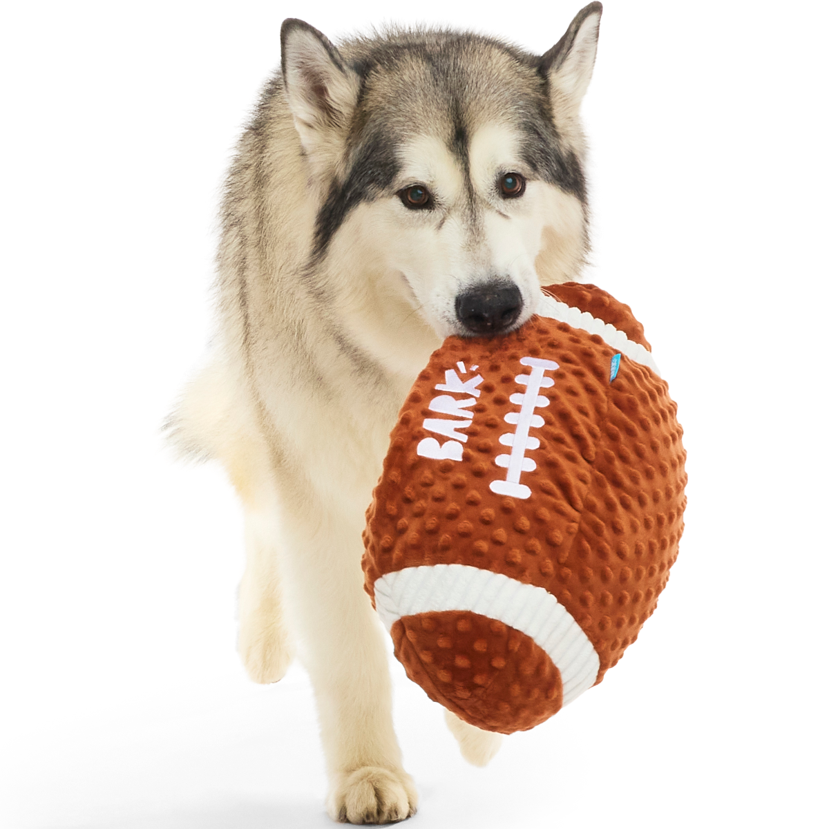 Wide Retriever Plush Extra-Large + Fetch Dog Toy