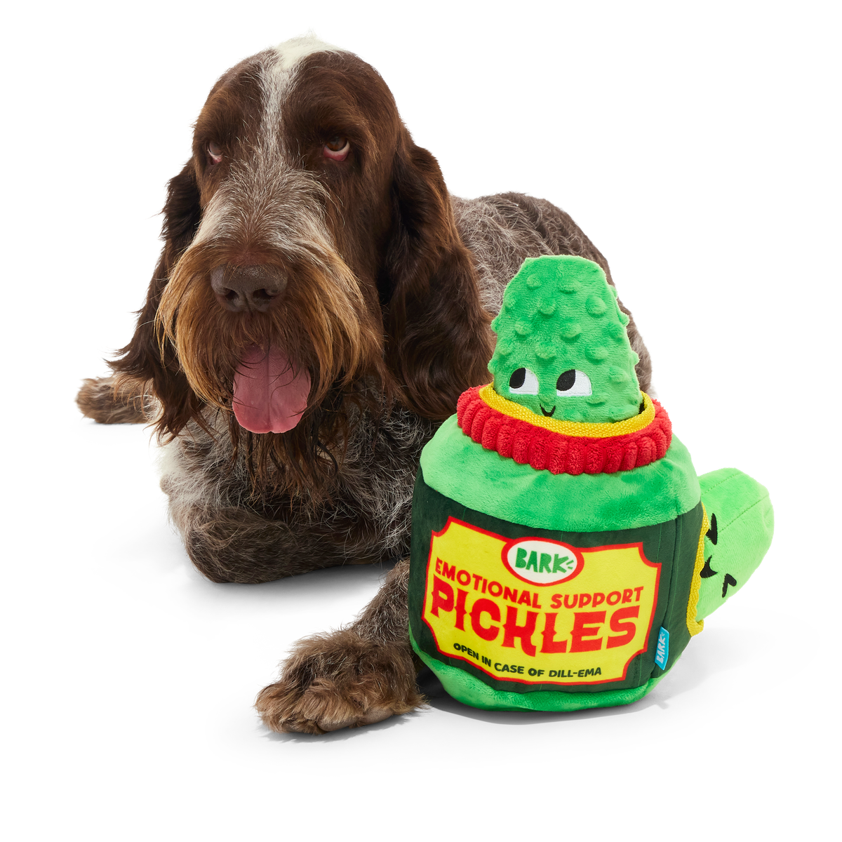 Dill-emma Squad Pickle Plush Extra-Large + Multi-Part + Enrichment Dog Toy