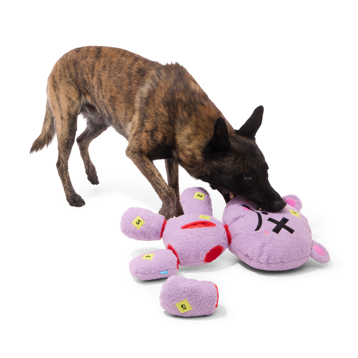 Deady Bear Plush Extra-Large + Multi-Part + Enrichment Dog Toy