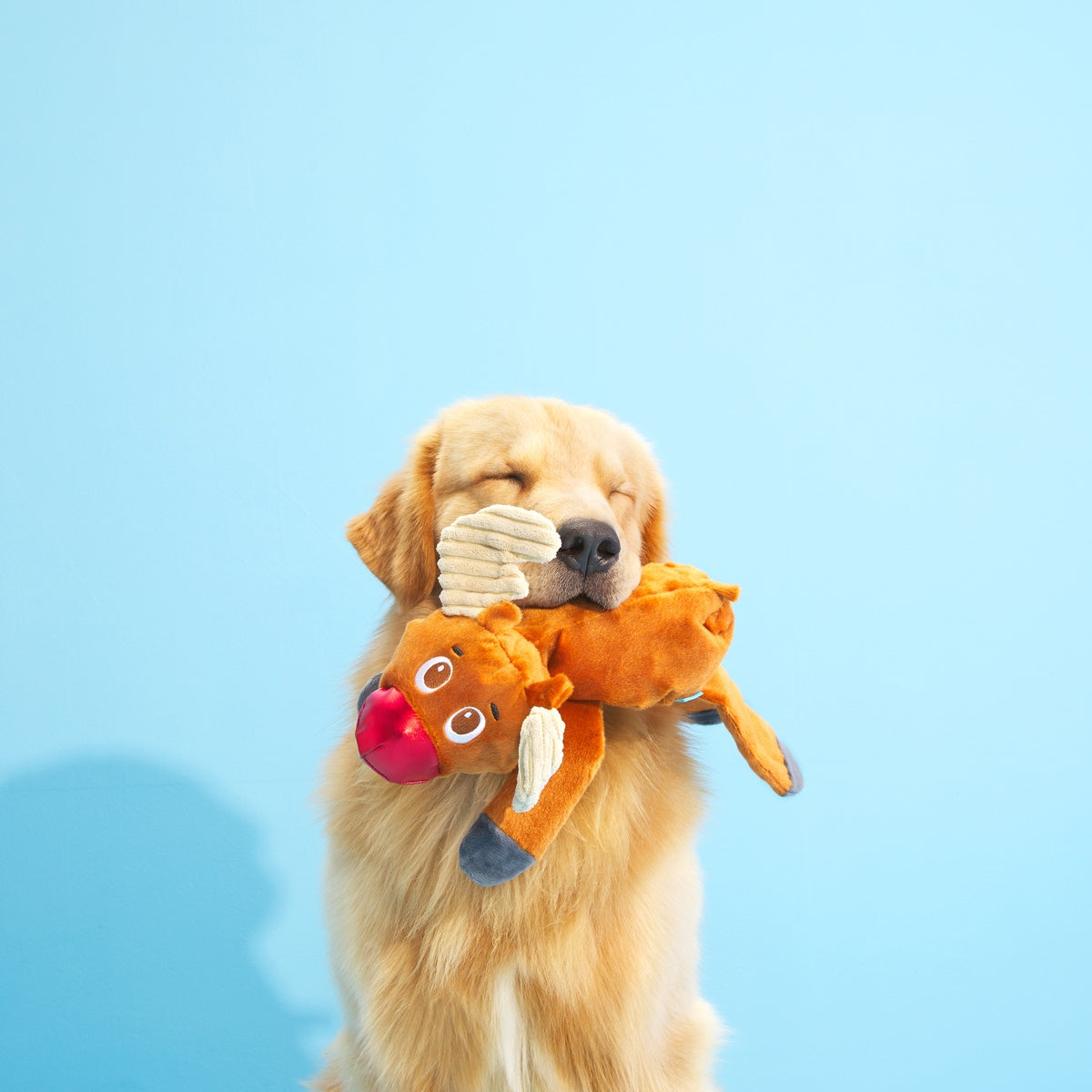 Rudy Reindeer Plush 2-in-1 + Tug Dog Toy