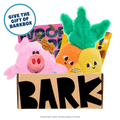 BarkBox - One Month Gift Box