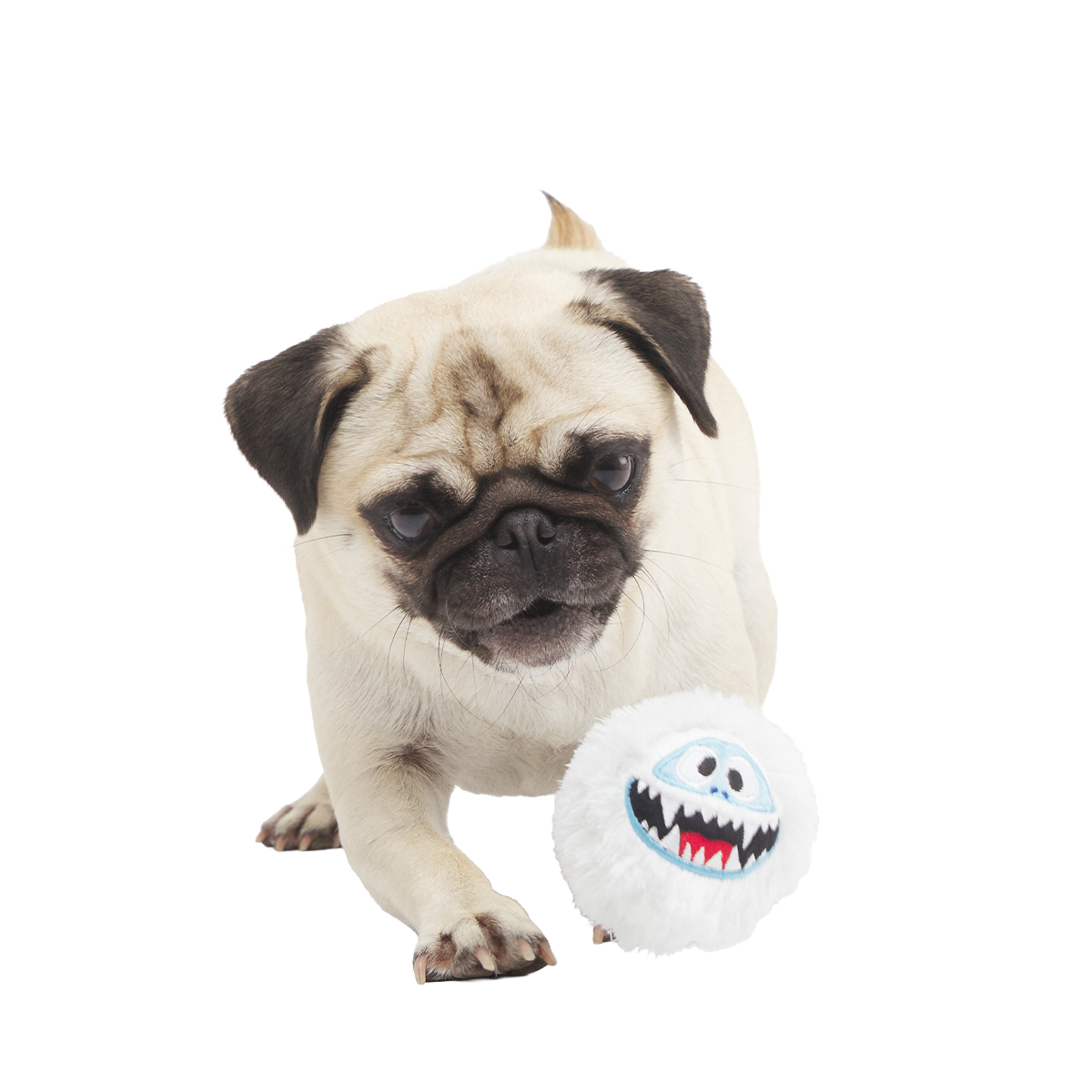 Bumble™ Bounce Plush Fetch Dog Toy
