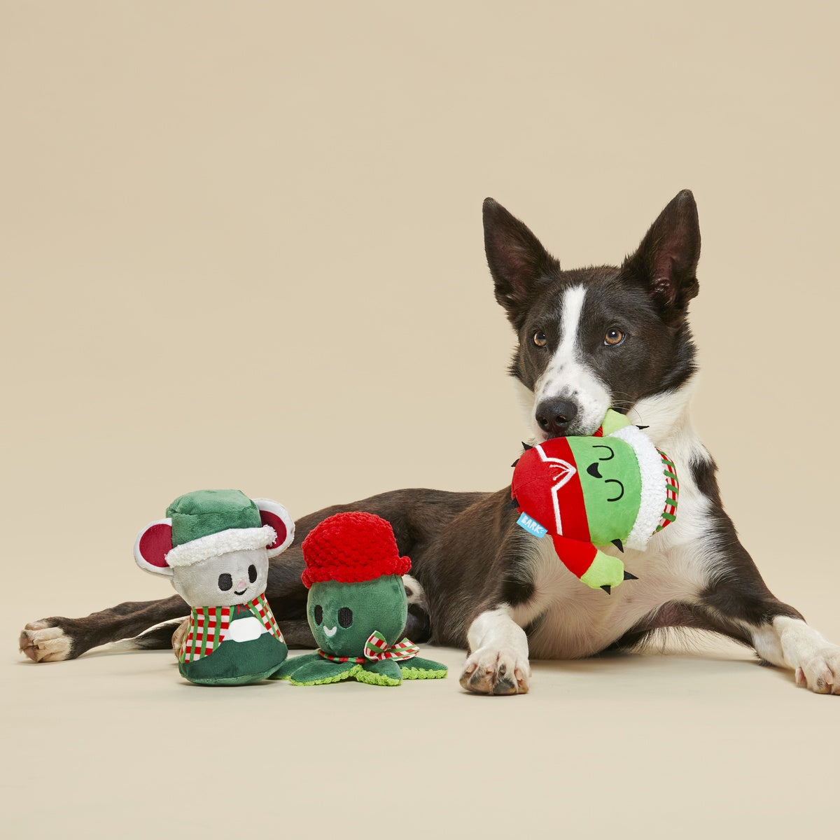 Sing Song Ding Dongs Plush Multi-Part Dog Toy