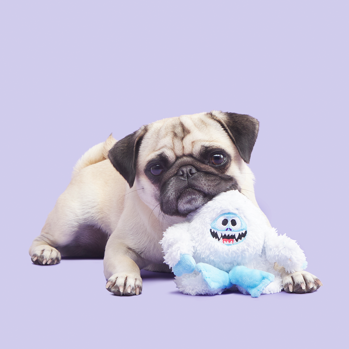 Bumble™ Plush Tug Dog Toy
