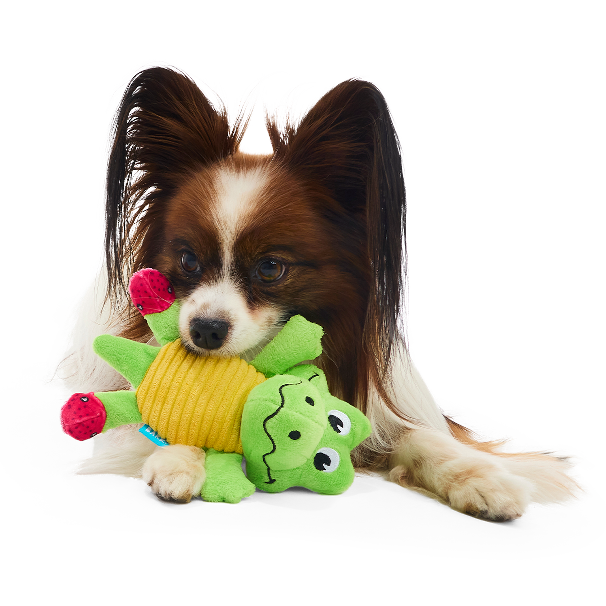 Crocodile Plush Tug Dog Toy