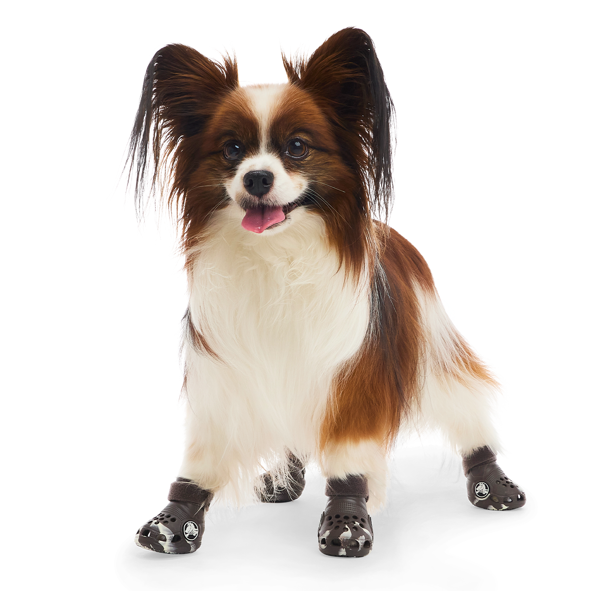 Crocs™ Shoes For Dogs