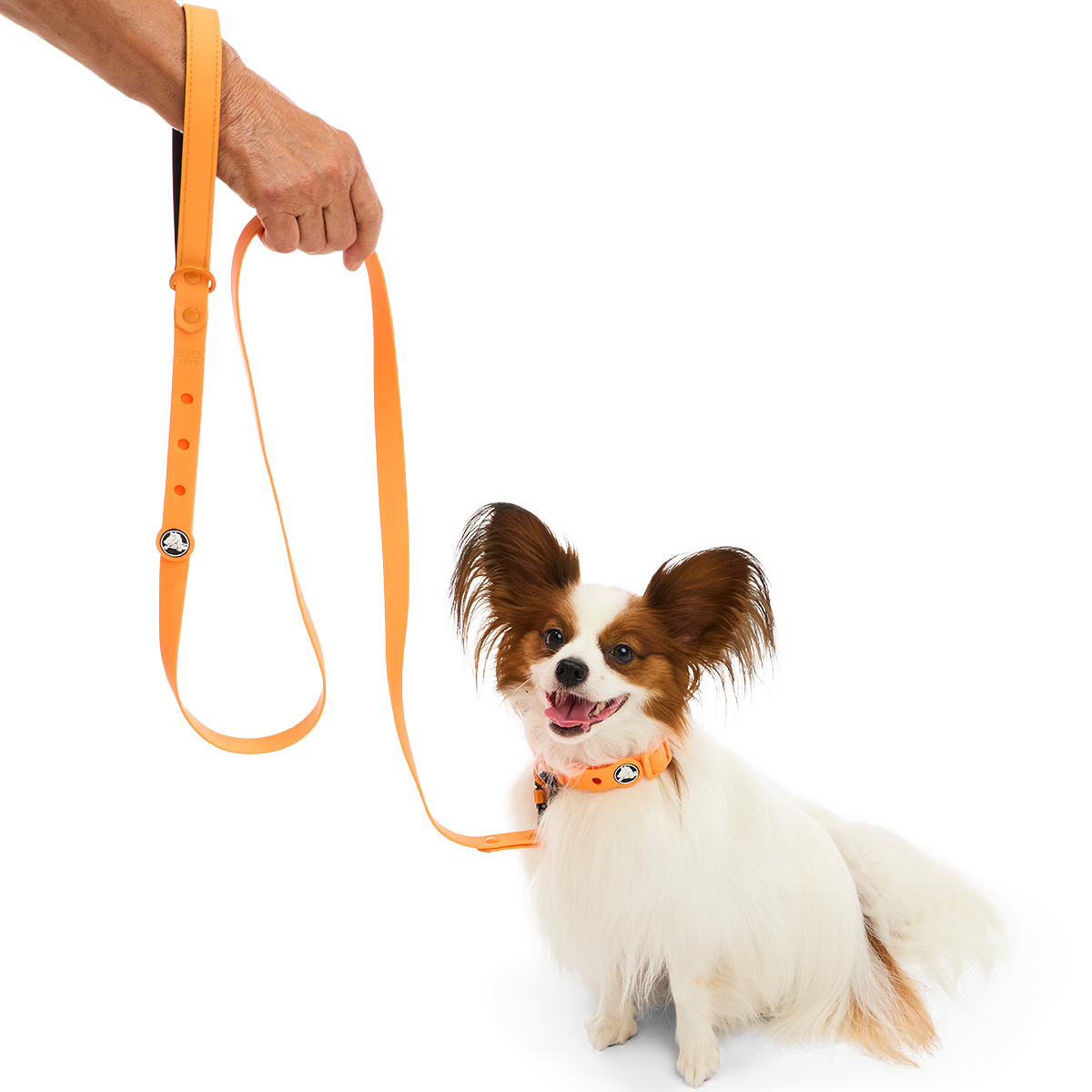Crocs™ for Dogs Walking Gear Bundle, Orange-Zing