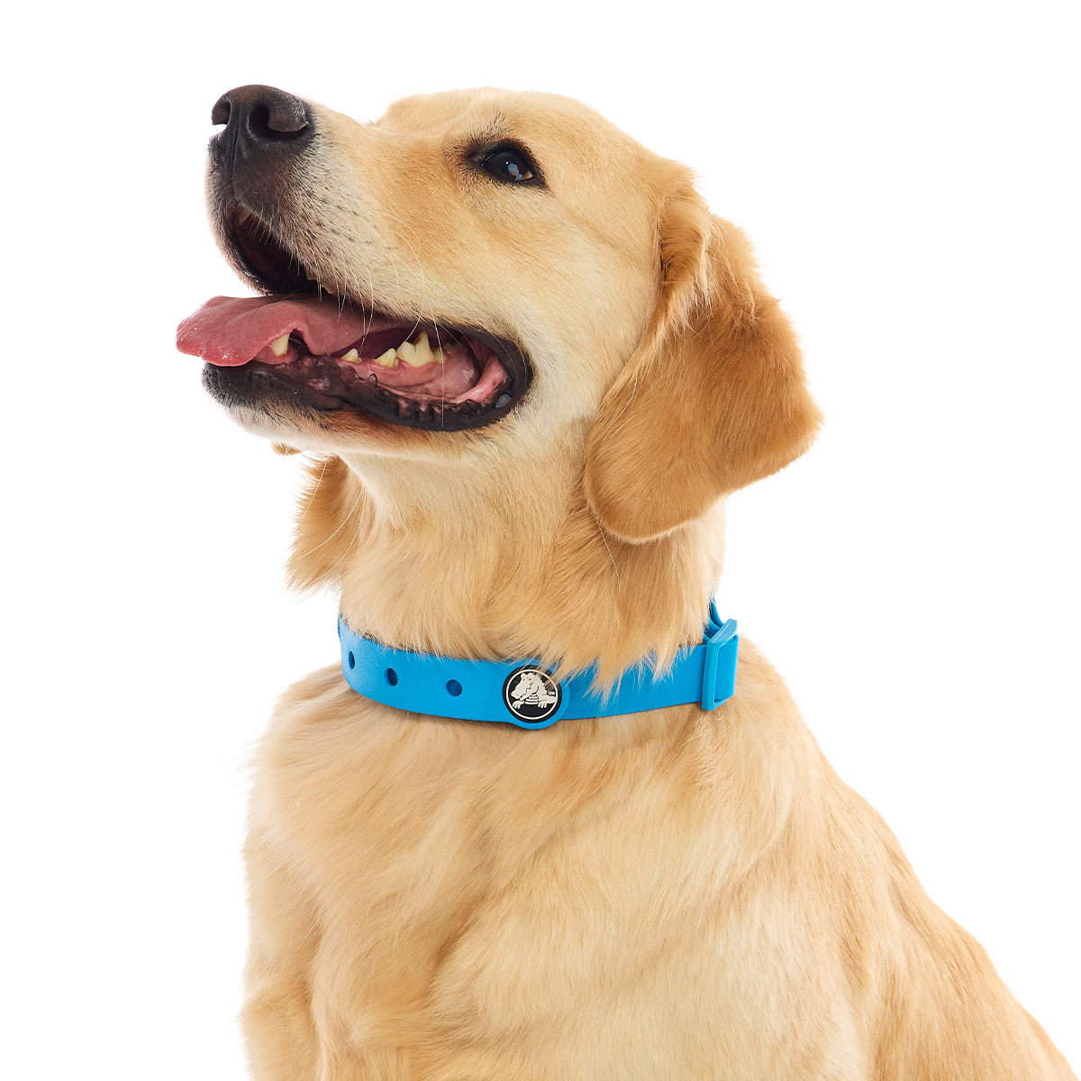 Crocs™ for Dogs Collar