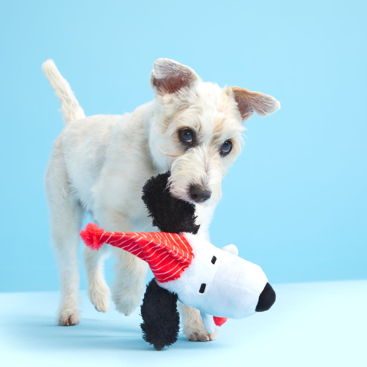 Skating Snoopy Plush Tug Dog Toy