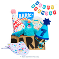 Birthday Classic Plush Gift Box