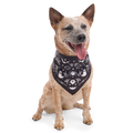 Boo Dog Bandana
