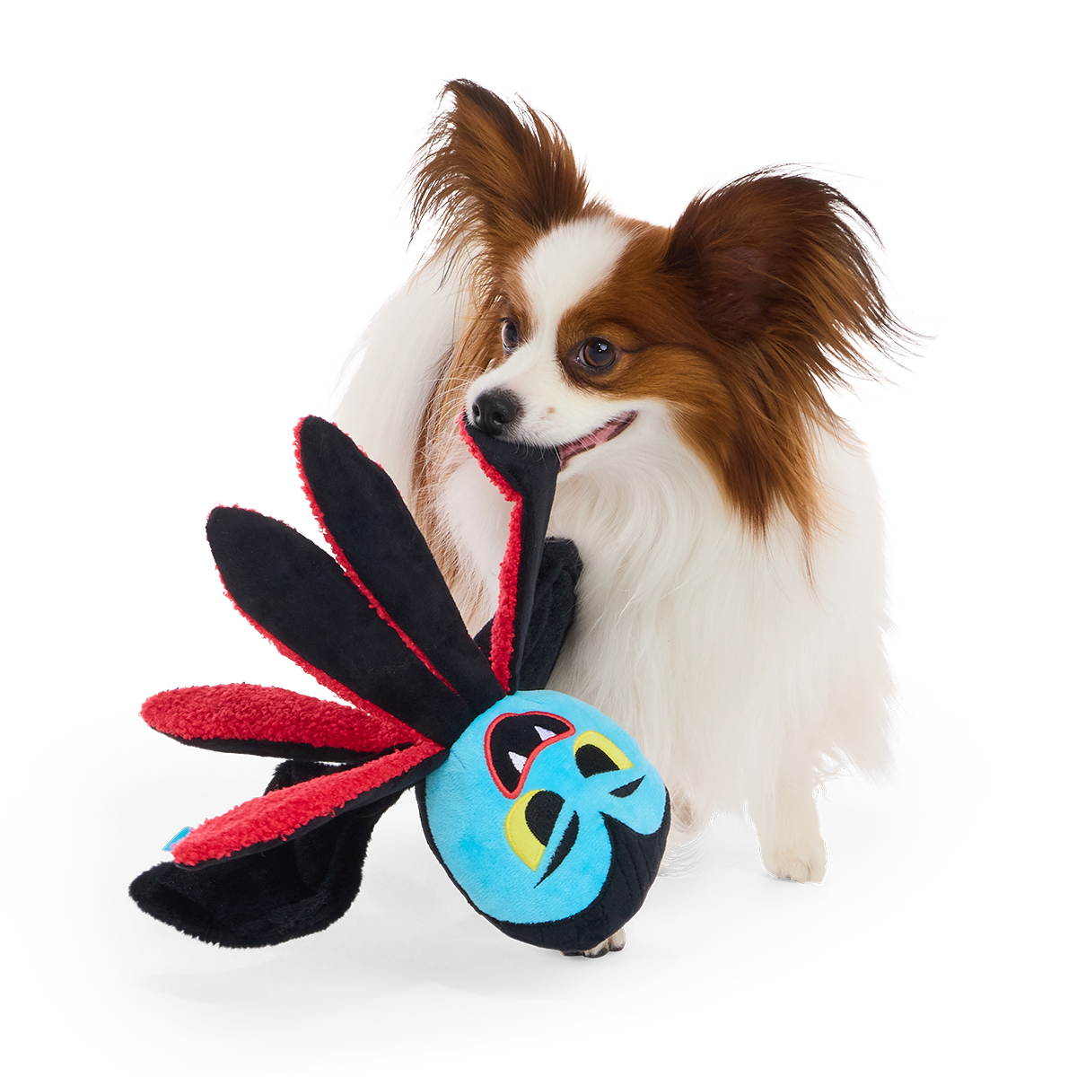 Count Ollie Plush Tug Dog Toy