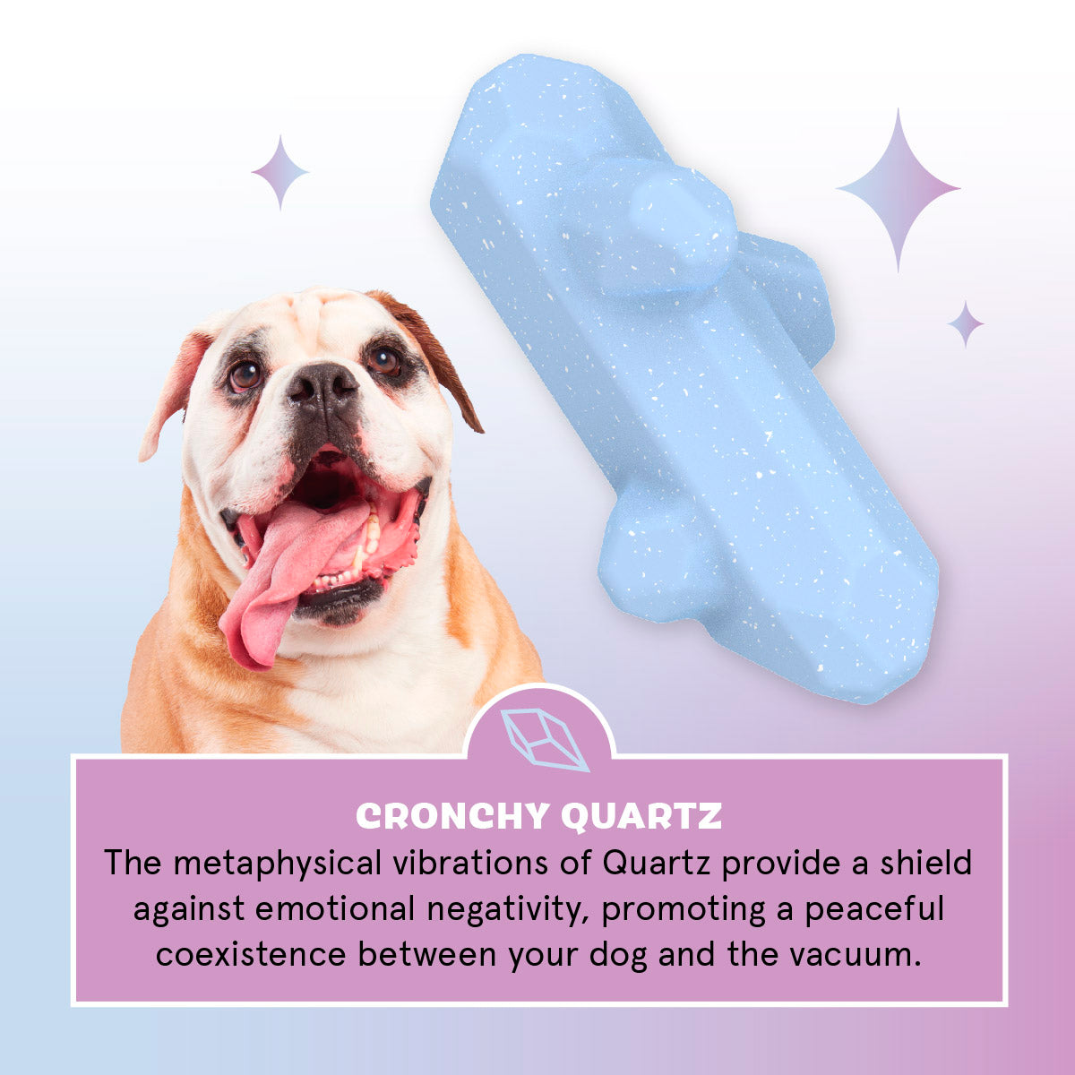 Crystal of the Month Club, Super Chewer Durable Monthly Dog Toys