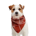 Fall Reversible Dog Bandana