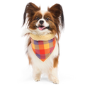 Fall Teddy Dog Bandana