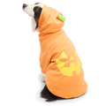 Jack O'Lantern Dog Hoodie
