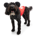 Mickey Mouse Dog Hoodie
