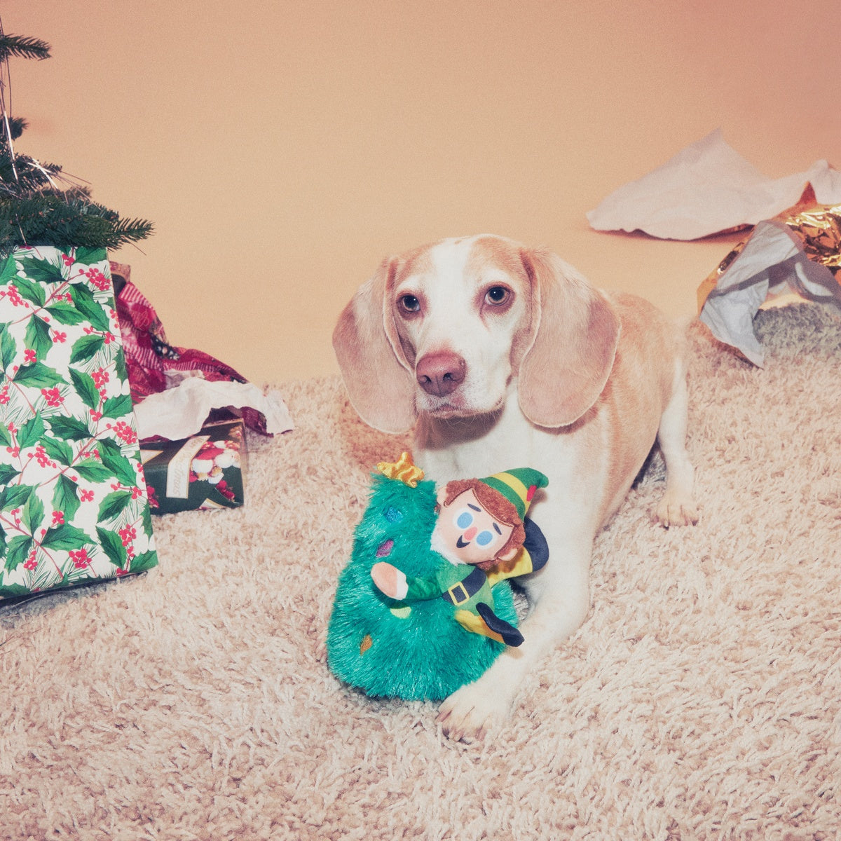 Tree Topper Buddy™ Plush Tug Dog Toy