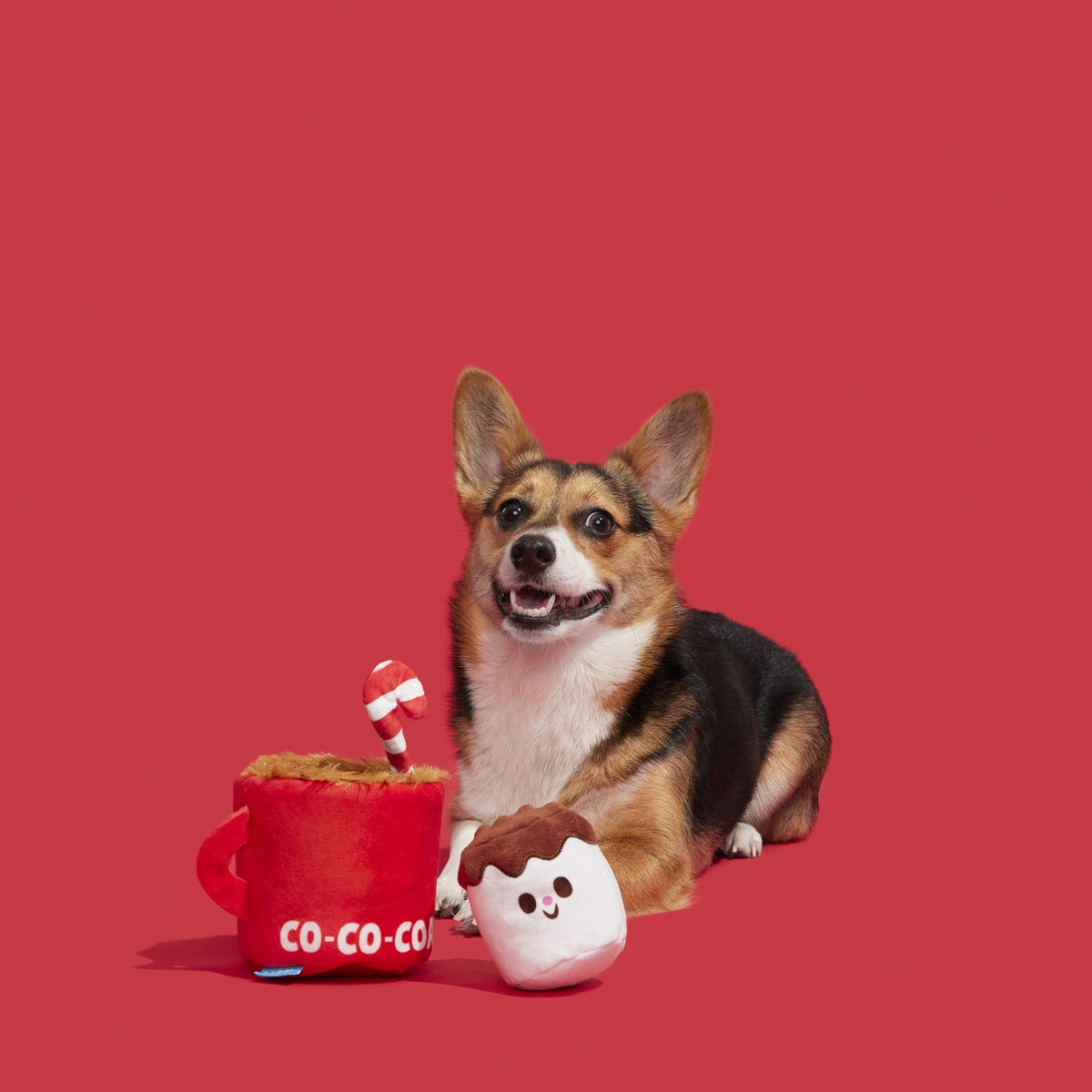 Marshal & Coco Plush Multi-Part + Enrichment Dog Toy