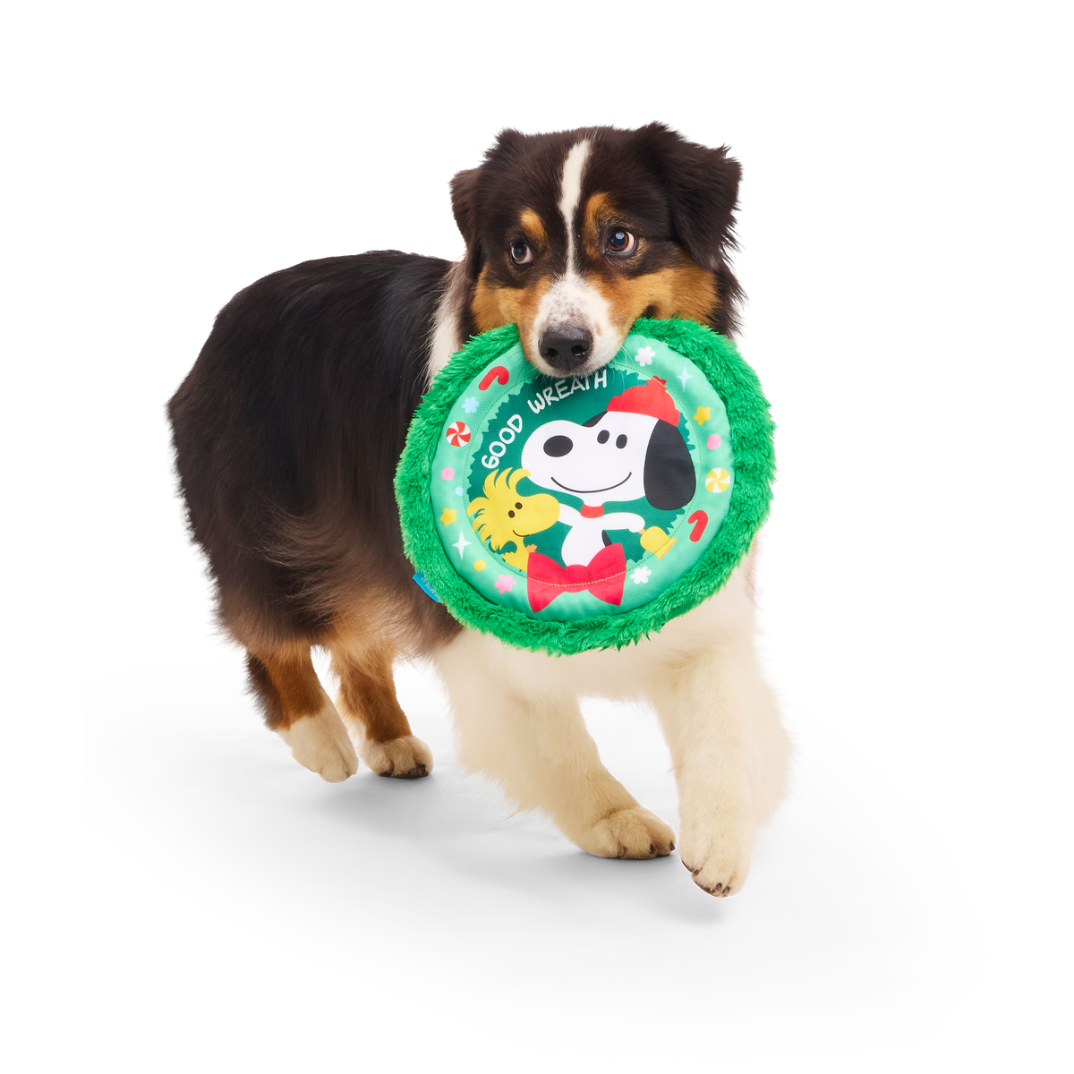 Disc The Halls Plush Fetch Dog Toy