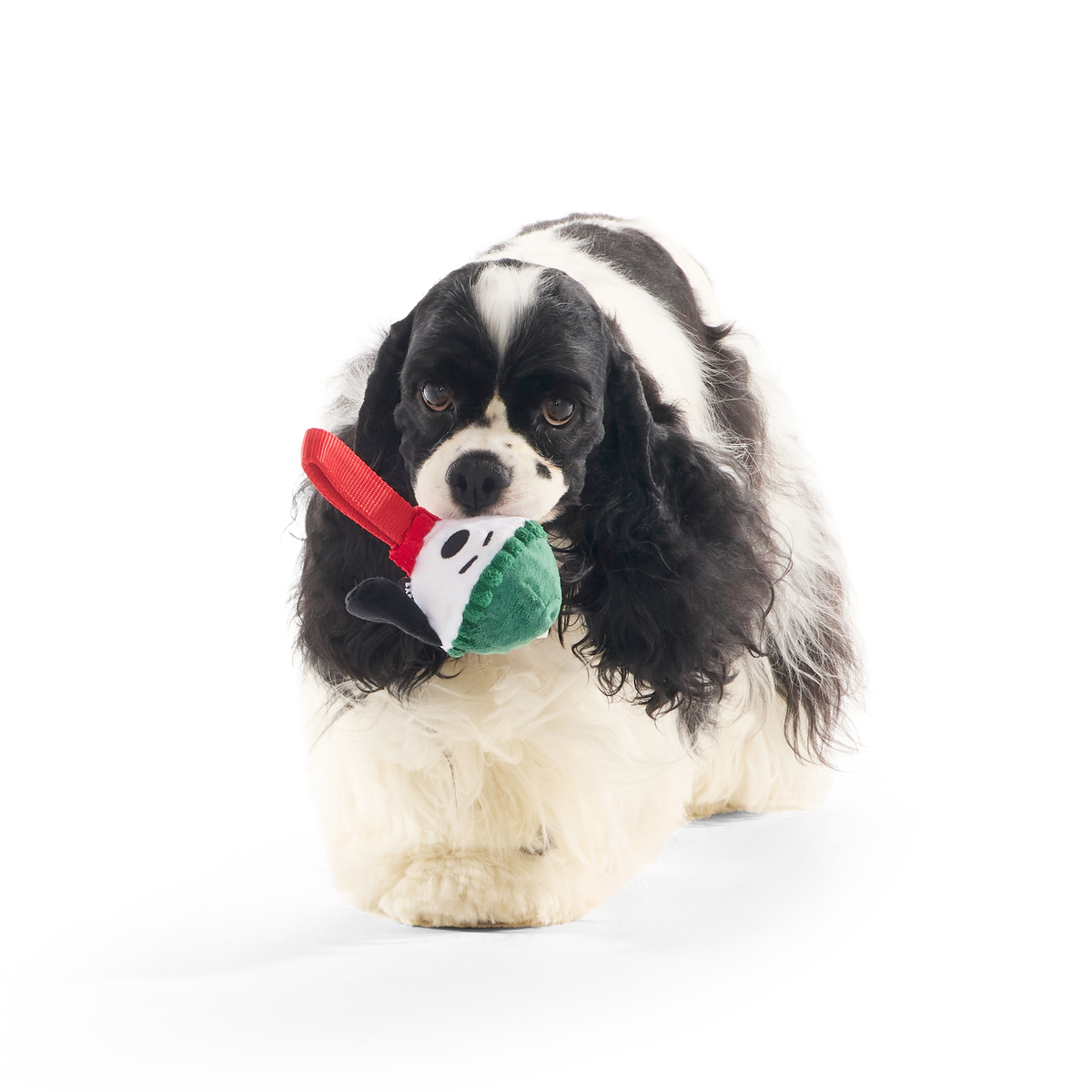 Blizzard Beagle Super Chewer Durable 2-in-1 + Tug Dog Toy