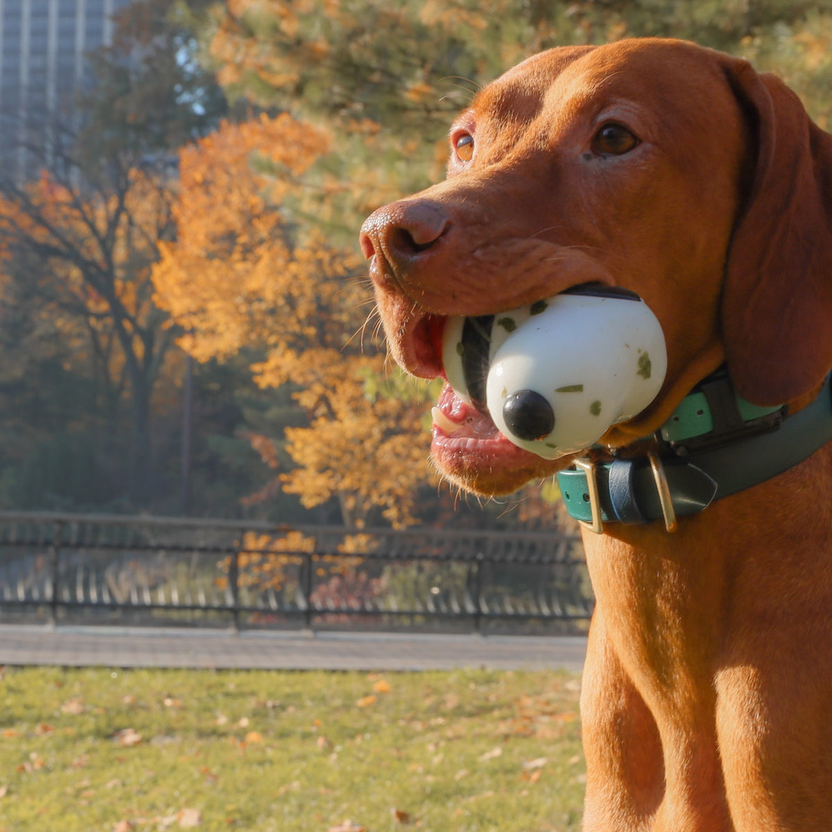 Snoopy Super Chewer Durable Fetch Dog Toy