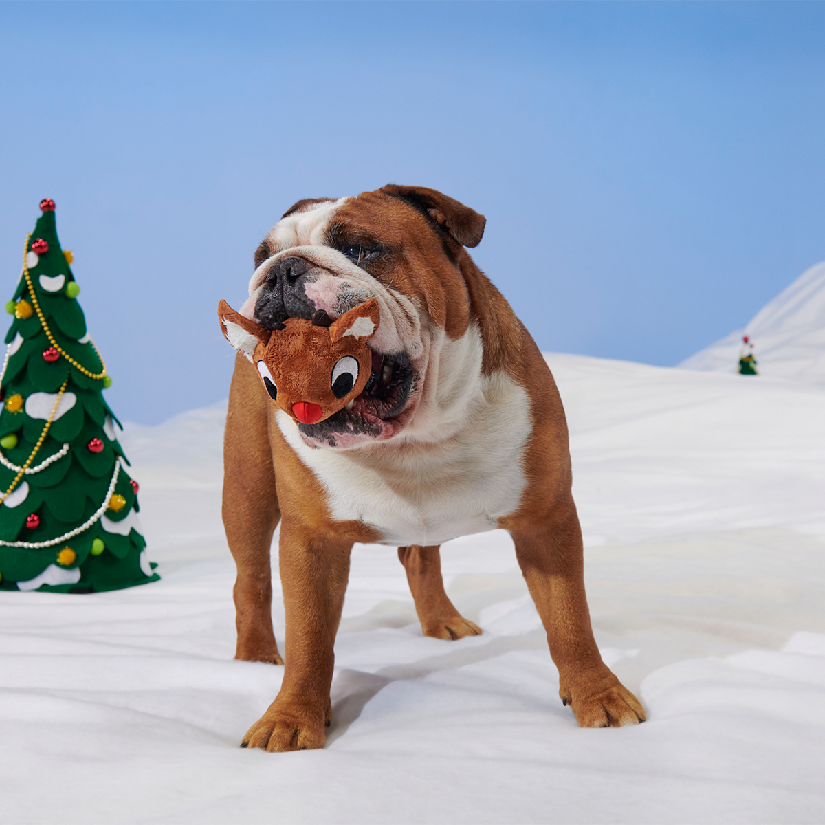 Reindeer Games™ Rudolph® Super Chewer Durable 2-in-1 + Enrichment Dog Toy