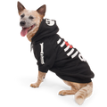 Skeleton Dog Hoodie