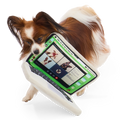 Snackbook Pro Plush Extra-Large + Enrichment Dog Toy