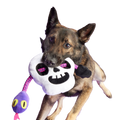 Sssskull Plush Extra-Large + Tug Dog Toy