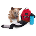 Teacher's Pet Backpack Plush Extra-Large + Multi-Part + Enrichment Dog Toy