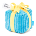 Throw A Party Present Plush 2-in-1 Dog Toy