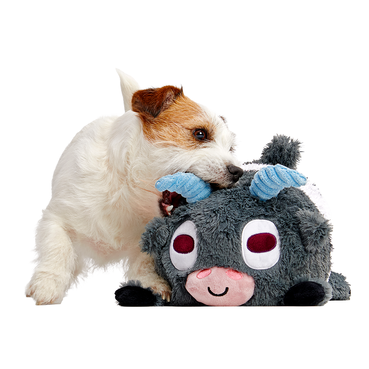 Billy the Kid Plush Extra-Large + 2-in-1 Dog Toy