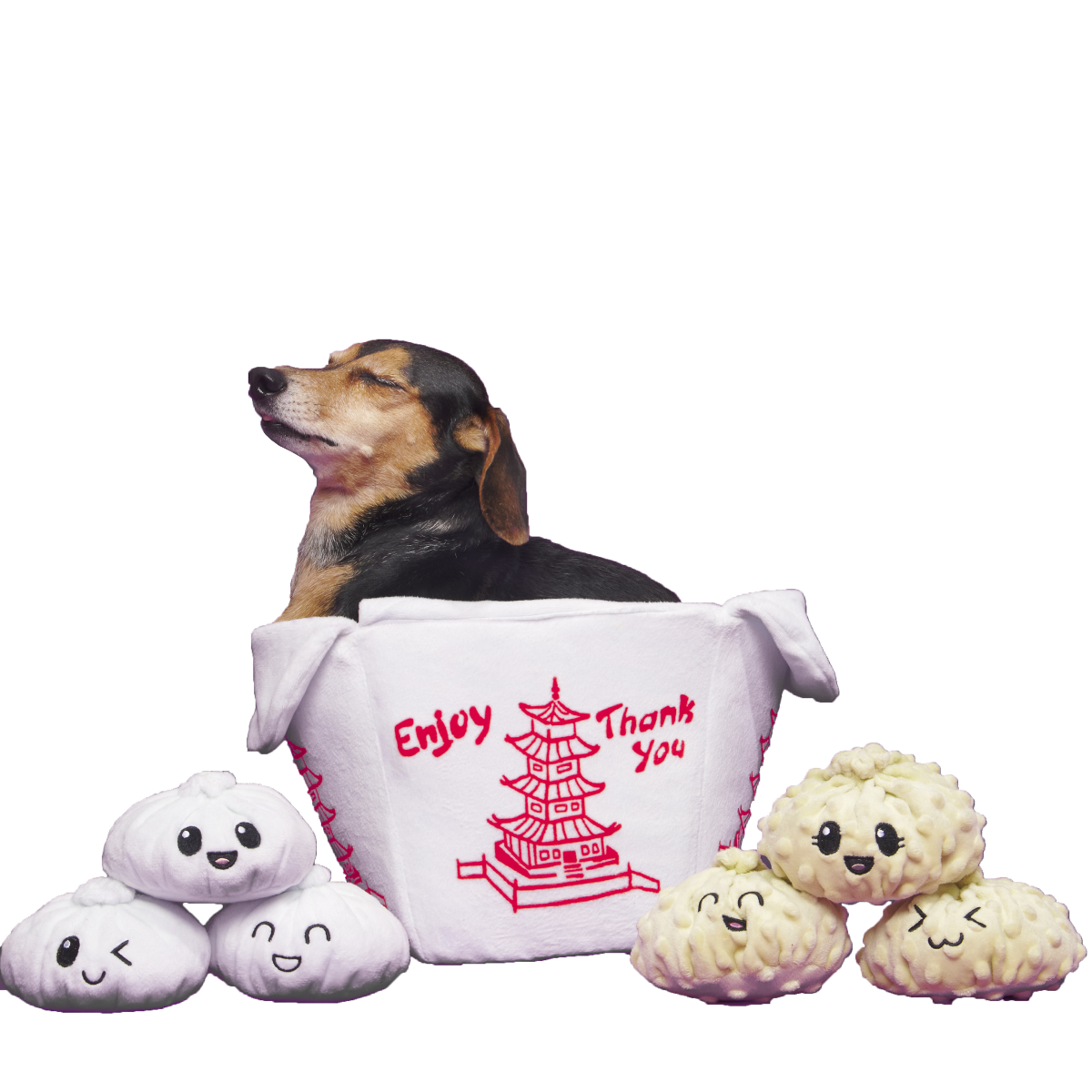Andi's Famous Plush Dumplings Enrichment + Multi-Part + Extra-Large Dog Toy