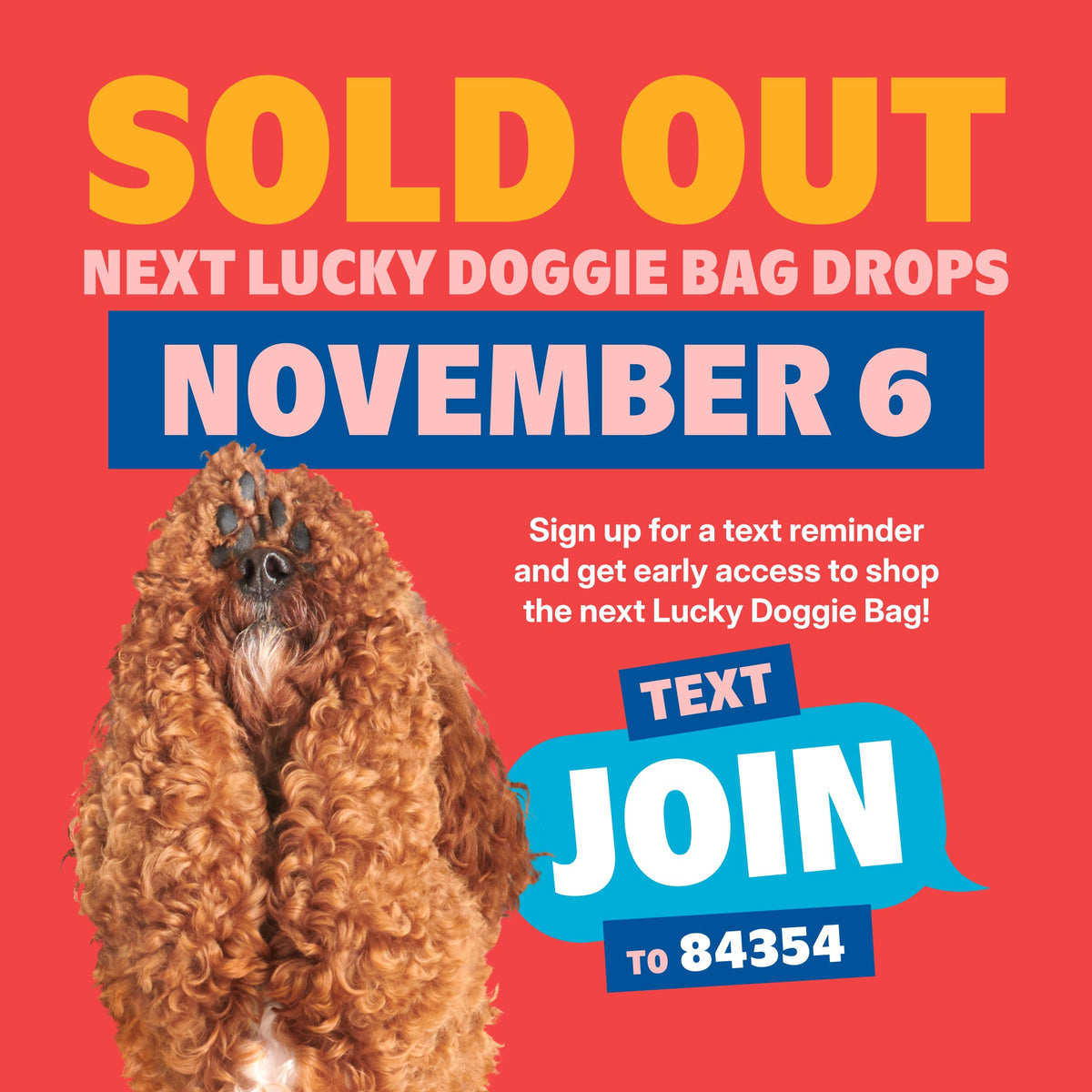 Lucky Doggie Bag