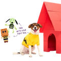 Peanuts™ Halloween Bundle
